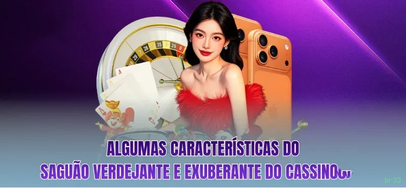 Promoções e bônus exclusivos da br33